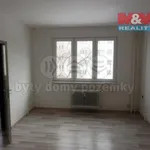 Rent 1 bedroom apartment in Františkovy Lázně