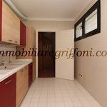 Rent 4 bedroom apartment of 100 m² in Bologna