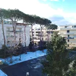 Rent 3 bedroom apartment of 114 m² in Caserta