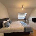 Rent 1 bedroom apartment in Leuven