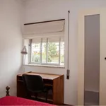 Quarto em coimbra