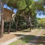 Rent 3 bedroom apartment of 80 m² in Castel Bolognese