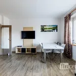 Rent 3 bedroom apartment of 65 m² in Vejprnice