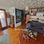 Rent 5 bedroom apartment of 160 m² in Szolnok