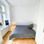 Rent 1 bedroom apartment in Berlin