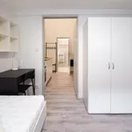 Rent 1 bedroom apartment in Brno