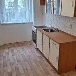 Rent 1 bedroom apartment of 45 m² in Teplice