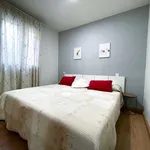 Rent 2 bedroom apartment of 55 m² in madrid