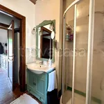 Rent 2 bedroom apartment of 50 m² in Vicopisano