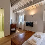 Rent 3 bedroom apartment of 142 m² in Lucca