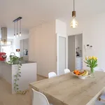 Rent 1 bedroom apartment in Antwerpen