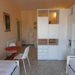 Rent 3 bedroom apartment of 80 m² in Follonica