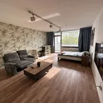 Miete 1 Schlafzimmer wohnung von 409 m² in Bonn