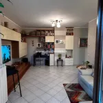 Rent 2 bedroom apartment of 71 m² in Bergamo