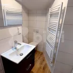 Rent 1 bedroom apartment in Brno