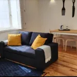 Rent 1 bedroom apartment of 45 m² in Porto