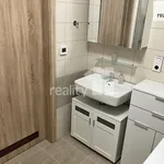 Rent 3 bedroom apartment of 71 m² in Vochov