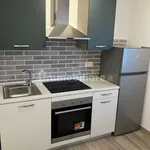 Rent 2 bedroom apartment of 45 m² in Rimini