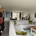 Rent 1 bedroom apartment in Puurs-Sint-Amands