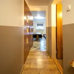 Rent 2 bedroom house of 80 m² in Wrocław