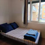 Rent a room in padua