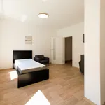 Rent 1 bedroom apartment in Brno