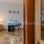 Rent 1 bedroom apartment of 45 m² in Turin