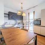 Rent 1 bedroom apartment of 65 m² in Como