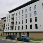 Rent 3 bedroom apartment of 10956 m² in BASTOGNE