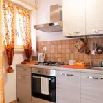 Rent 1 bedroom apartment of 50 m² in rome