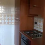 Rent 2 bedroom apartment of 73 m² in Roma