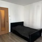 Rent 1 bedroom apartment of 35 m² in Prague