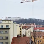 Rent 1 bedroom apartment of 43 m² in Brno