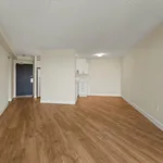 Rent 2 bedroom apartment in Windsor, ON