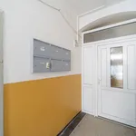 Rent 1 bedroom apartment of 36 m² in labem