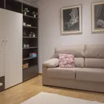 Rent 1 bedroom apartment in madrid