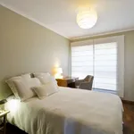 Alugar 2 quarto apartamento em porto