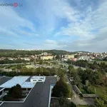 Rent 2 bedroom apartment of 40 m² in Brno-Židenice