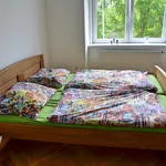 Rent a room of 107 m² in Brno