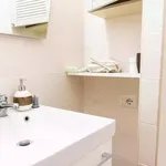 Rent 4 bedroom apartment in Rome