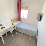 Rent a room in seville