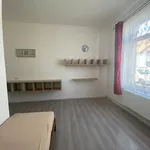 Rent 1 bedroom apartment in Praha - východ