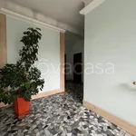 Rent 2 bedroom apartment of 55 m² in Milano