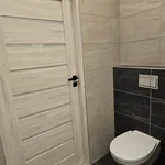 Rent 3 bedroom apartment in Karviná