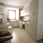 Rent 1 bedroom apartment of 45 m² in Verona