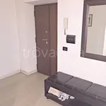 Rent 1 bedroom apartment of 55 m² in Roma