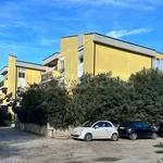 Rent 3 bedroom apartment of 80 m² in Nettuno