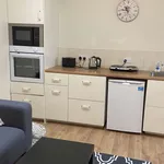 Rent 1 bedroom apartment of 50 m² in dublin