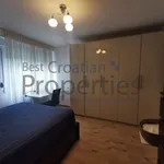 Rent 1 bedroom apartment of 55 m² in City of Zagreb