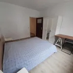 Rent 1 bedroom apartment in Brussels